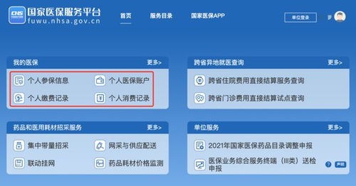 醫(yī)保信息線上查 個(gè)人參保與繳費(fèi)記錄一目了然